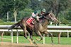Wit wins the 2021 Sanford Stakes at Saratoga Race Course