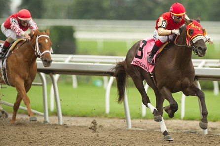 Tio Magico - Horse Profile - BloodHorse