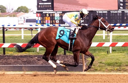 Edie Meeny Miny Mo breaks her maiden at Pimlico Race Course