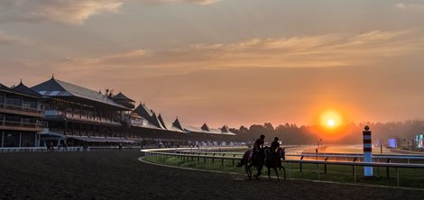 Saratoga Racing Schedule 2022 Nyra To Maintain Customary Racing Schedule In 2022 - Bloodhorse