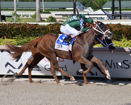 Cajun's Magic wins the Dr. Fager Division of the  Florida Thoroughbred Breeders and Owners Association Stakes at Gulfstream Park