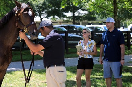 Nick Sallusto inspects a yearling in 2019 at The July Sale