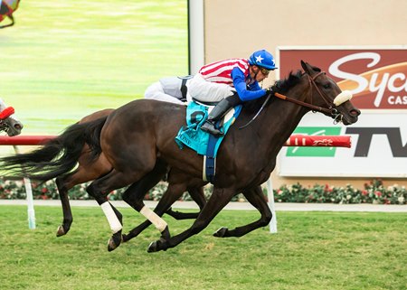 Madone wins the 2021 San Clemente Stakes at Del Mar
