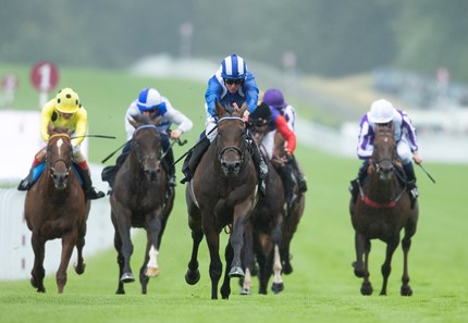 Baaeed (GB) - Horse Profile - BloodHorse