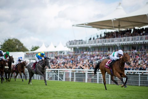 Suesa Claims Victory In King George Stakes At Goodwood Bloodhorse
