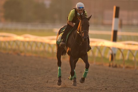 Woodbine Names Tim Lawson Director of Racing - BloodHorse