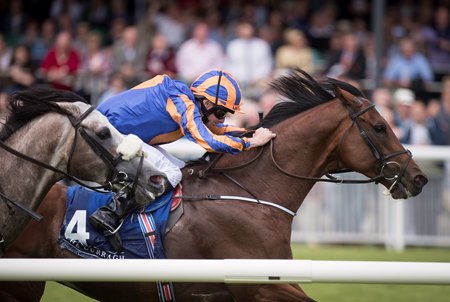 Johannes Vermeer wins the 2017 International Stakes at the Curragh Racecourse