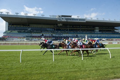 Woodbine Releases 2023 Thoroughbred Stakes Schedule