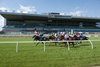 Racing action on the Inner Turf from July 15, 2021, at Woodbine Racetrack