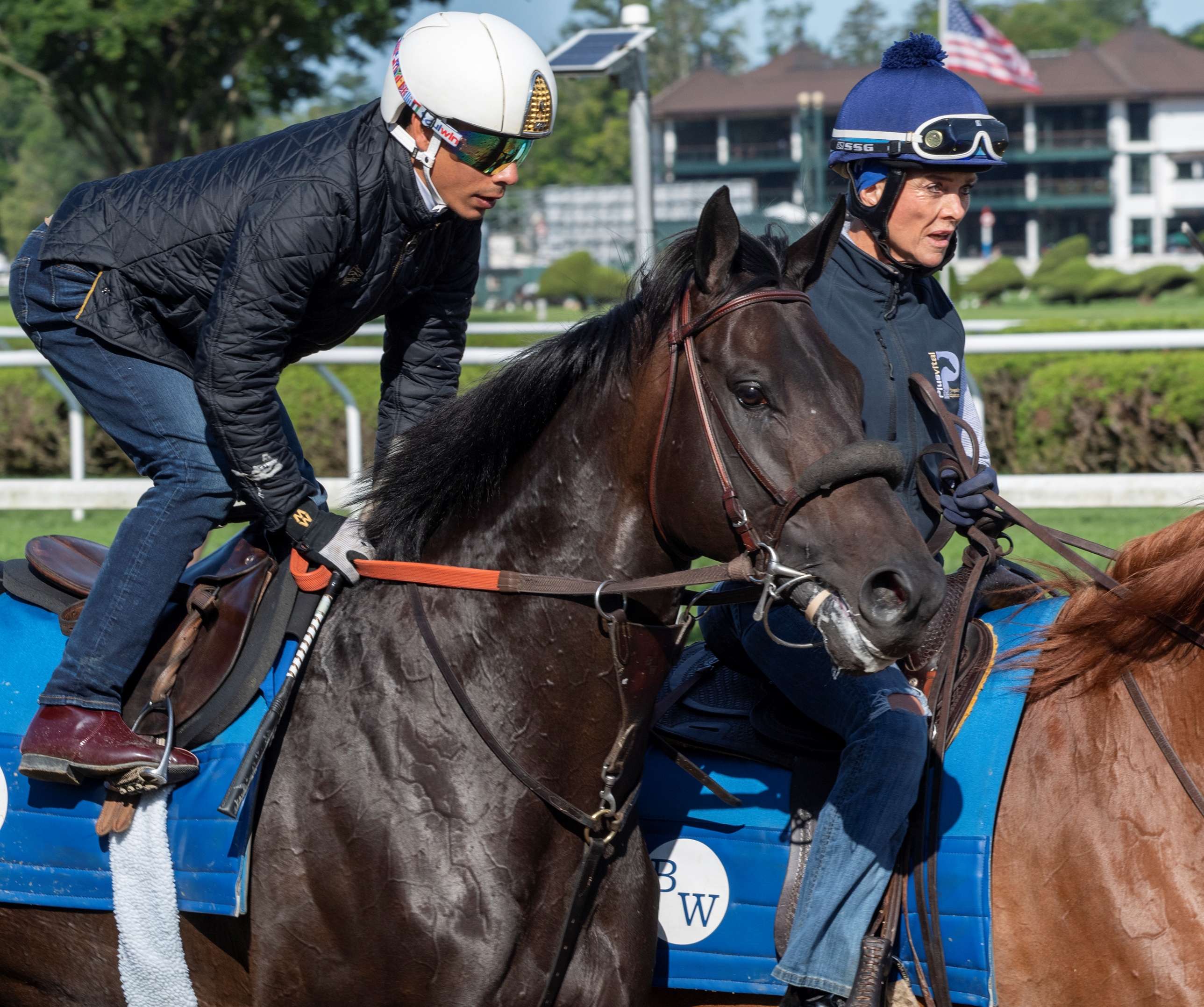 Maxfield Faces Defining Test in Whitney BloodHorse