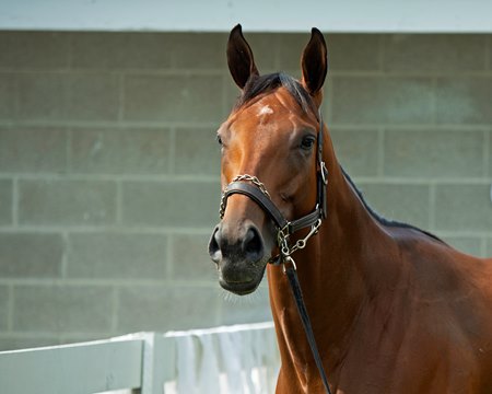 Letruska at Keeneland