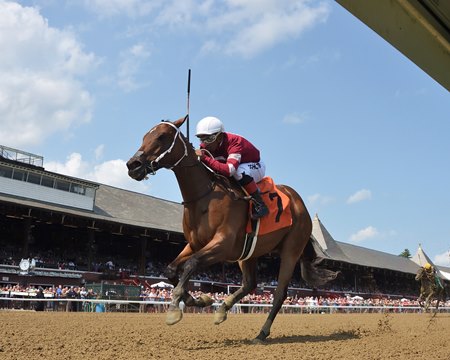 Echo Zulu wins her debut at Saratoga Race Course