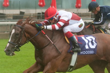 Jolie Olimpica fends off Abscond to win the Nassau Stakes at Woodbine
