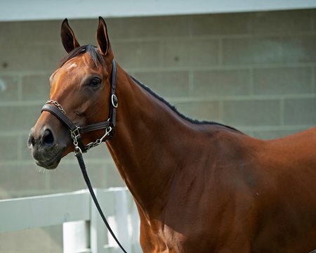 Letruska at Keeneland