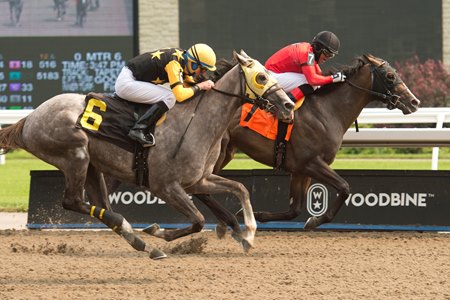 Feelthebeat (rail) breaks his maiden at Woodbine