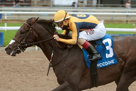 Easy Time Surges Clear In Marine Bloodhorse