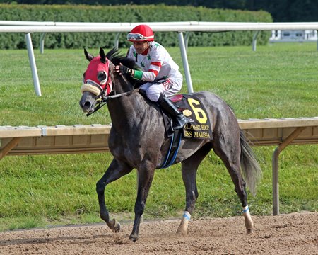 miss marissa heads turnback the alarm handicap bloodhorse