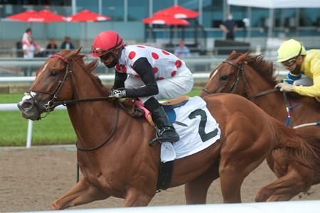 Souper Stonehenge defeats Pink Lloyd in the Vigil Stakes at Woodbine