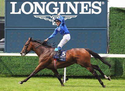 Adayar (IRE) Horse Profile BloodHorse