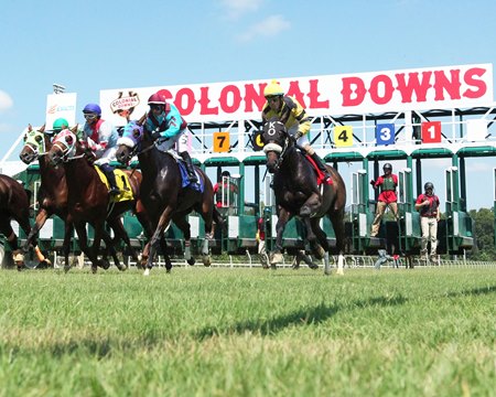 Racing in Virginia at Colonial Downs