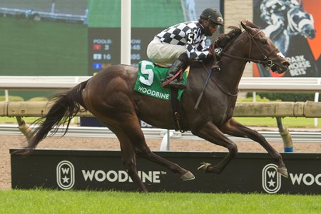 First Empire wins the Soaring Free Stakes at Woodbine