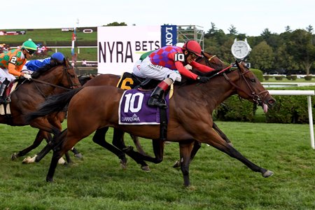 Star Devine Scores First Stakes Victory In Galway Bloodhorse