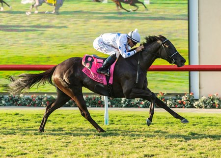 Princess Grace wins the Yellow Ribbon Handicap at Del Mar