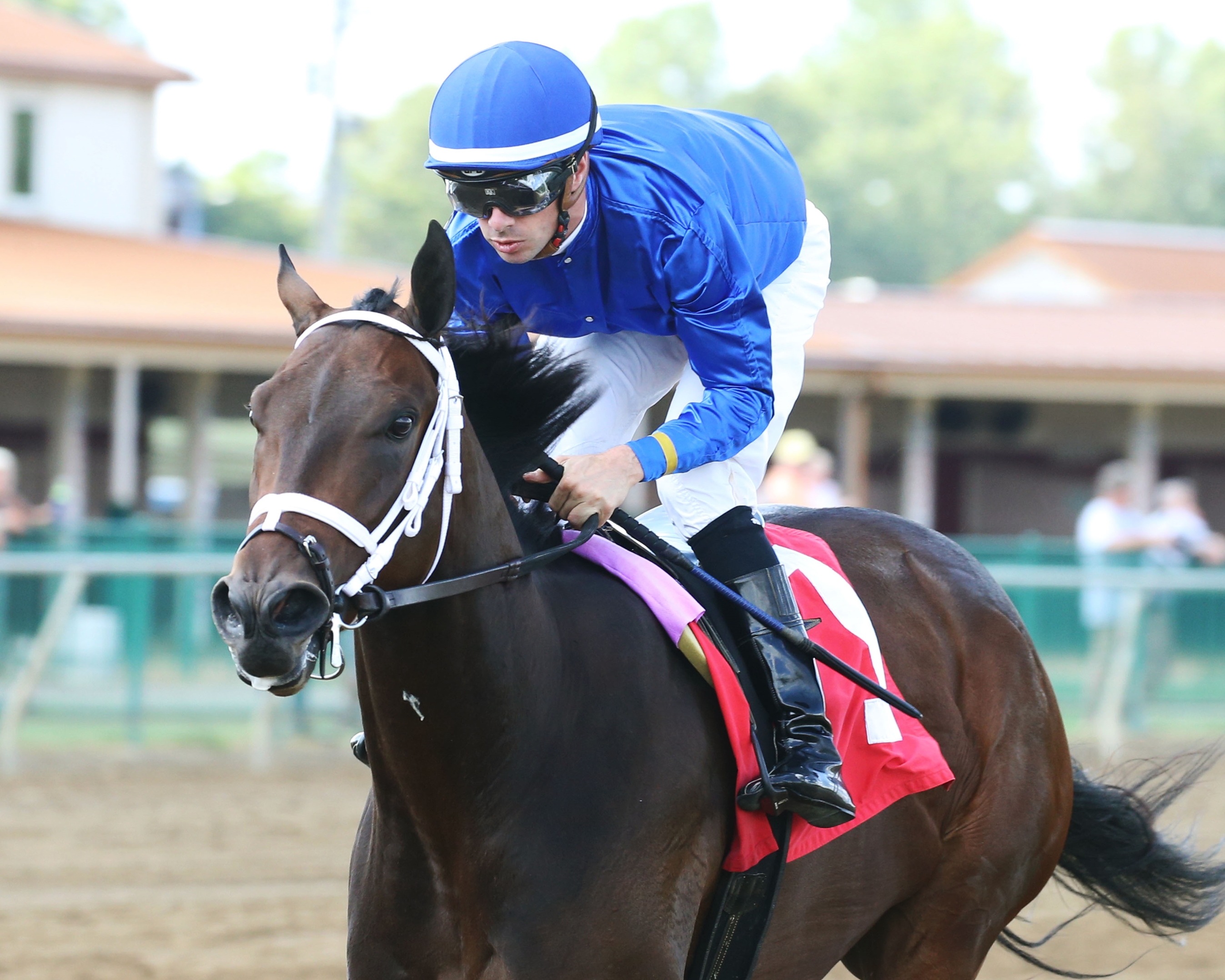 Matareya Eyes First Graded Score in Beaumont BloodHorse