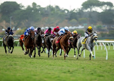 Racing on the Del Mar turf course