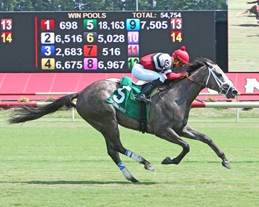 Breeders' Cup Winner Twilight Gleaming Heads Mamzelle - BloodHorse