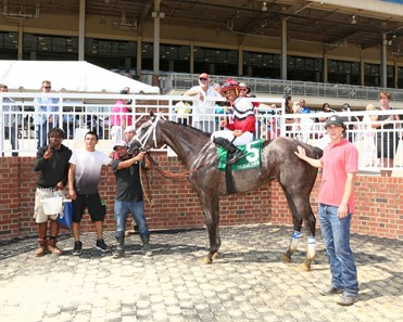 Breeders' Cup Winner Twilight Gleaming Heads Mamzelle - BloodHorse