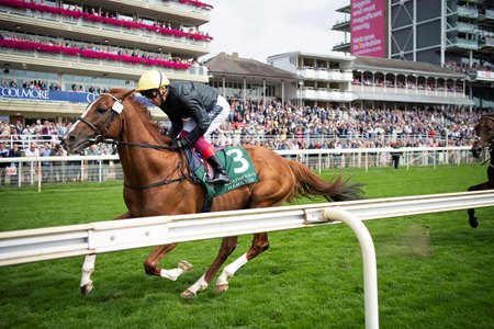 Stradivarius takes the 2021 Lonsdale Cup at York Racecourse