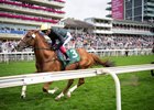 Stradivarius (Frankie Dettori) pass the stands on the 1st circuit of the Lonsdale Cup
York 20.8.21 Pic: Edward Whitaker