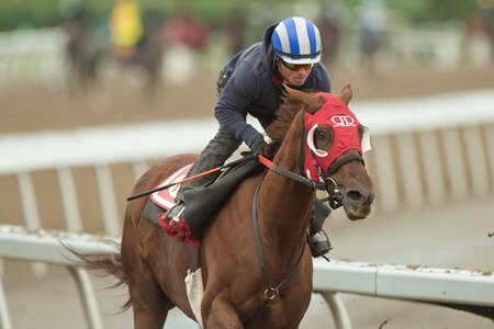 Munnyfor Ro trains at Woodbine