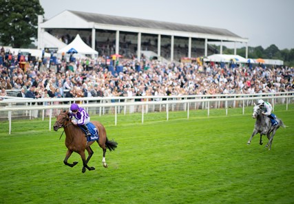 Snowfall Jpn Horse Profile Bloodhorse