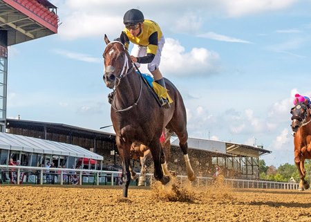 Jaxon Traveler draws away in the Star De Naskra Stakes at Pimlico Race Course