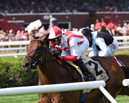 Public Sector wins the National Museum of Racing Hall of Fame Stakes at Saratoga Race Course