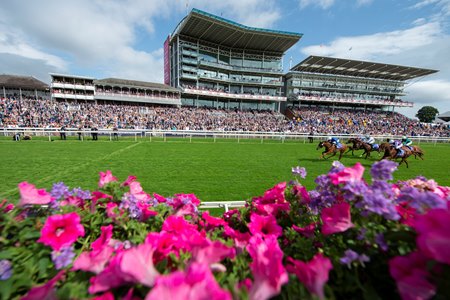 York Racecourse