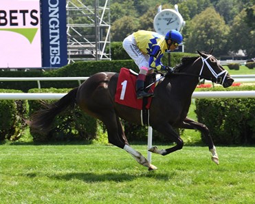 Breeders' Cup Winner Twilight Gleaming Heads Mamzelle - BloodHorse