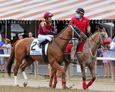 Whitmore, shown in his final trip to the post before the 2021 Forego Stakes at Saratoga Race Course, is expected to lead the post parade for the March 19 Whitmore Stakes at Oaklawn Park