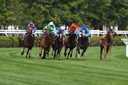 Turf racing at Saratoga Race Course