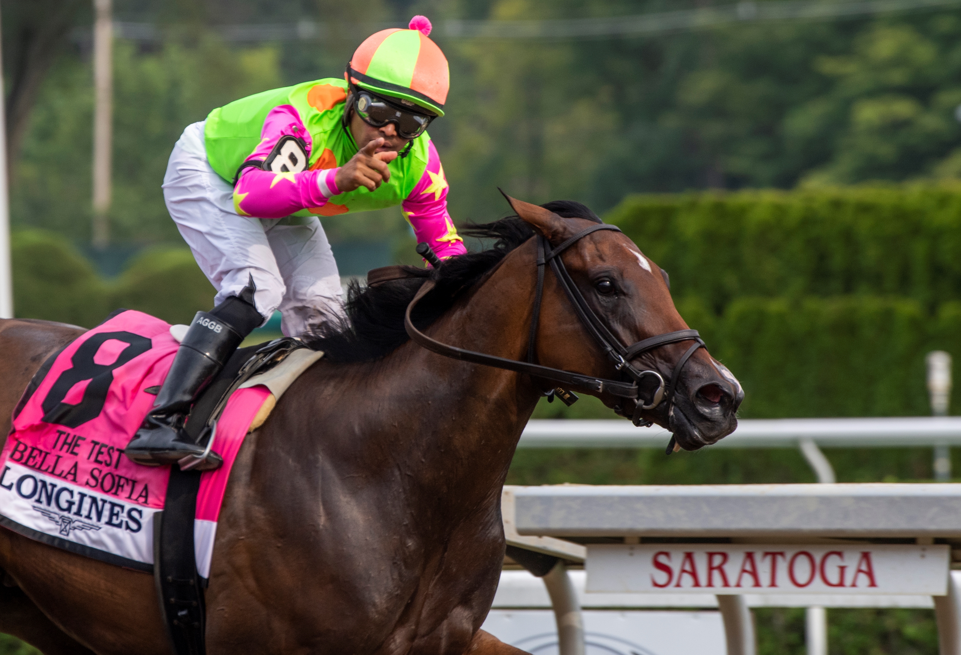 Bella Sofia to Battle Older Mares in Gallant Bloom BloodHorse