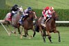 Technical Analysis with jockey Jose Ortiz #2 leads the field to the finish and  the win in the 38th running of the Lake Placid at the Saratoga Race Course Saturday Aug 21, 2021 in Saratoga Springs, N.Y.  