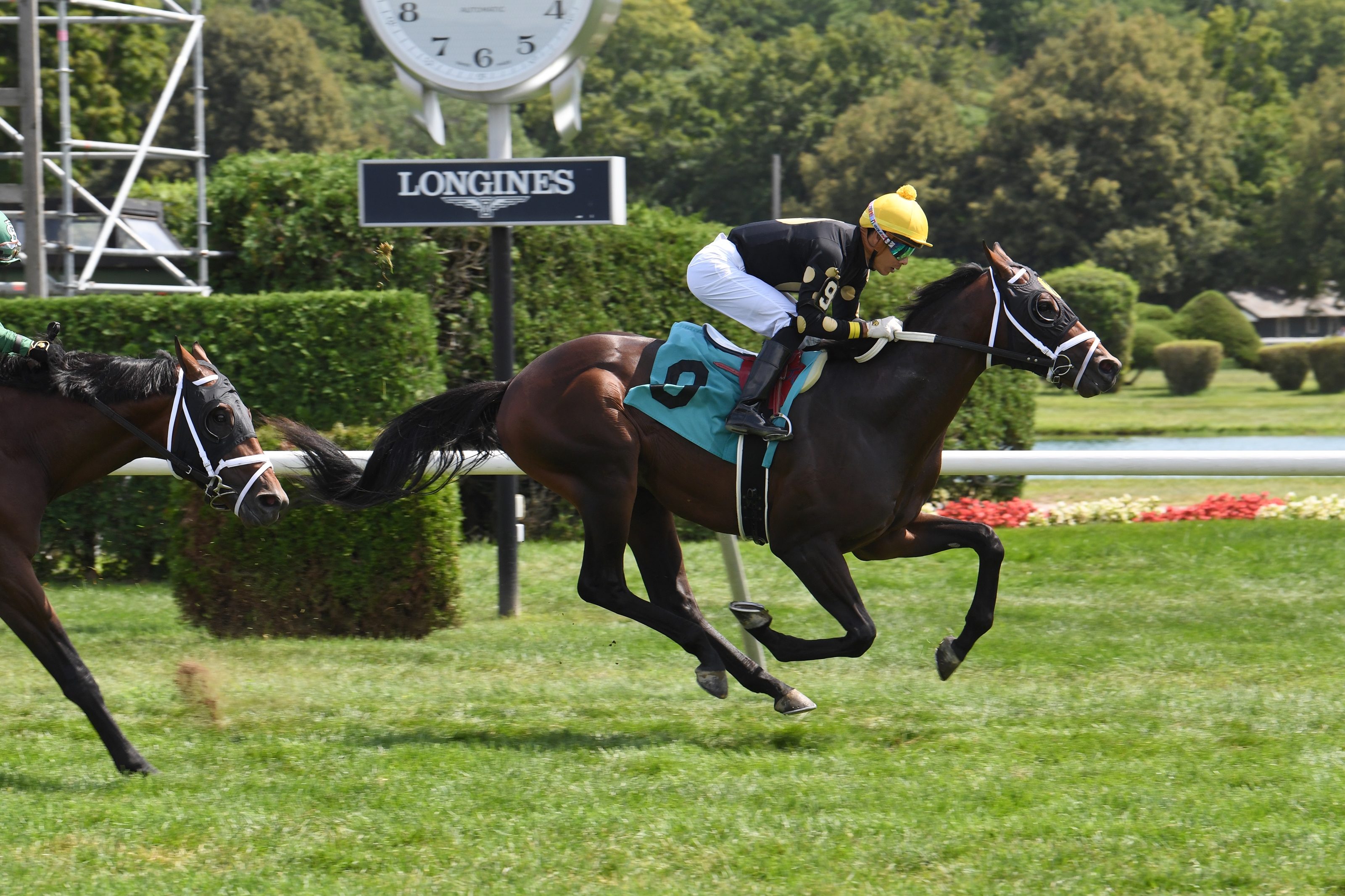 Kiss the Sky Horse Profile BloodHorse