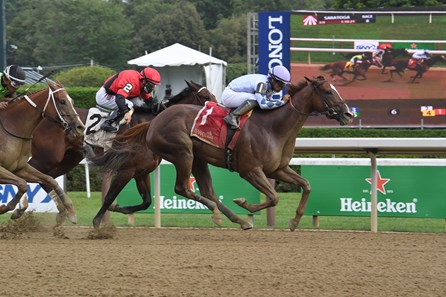 Bayerness Horse Profile Bloodhorse