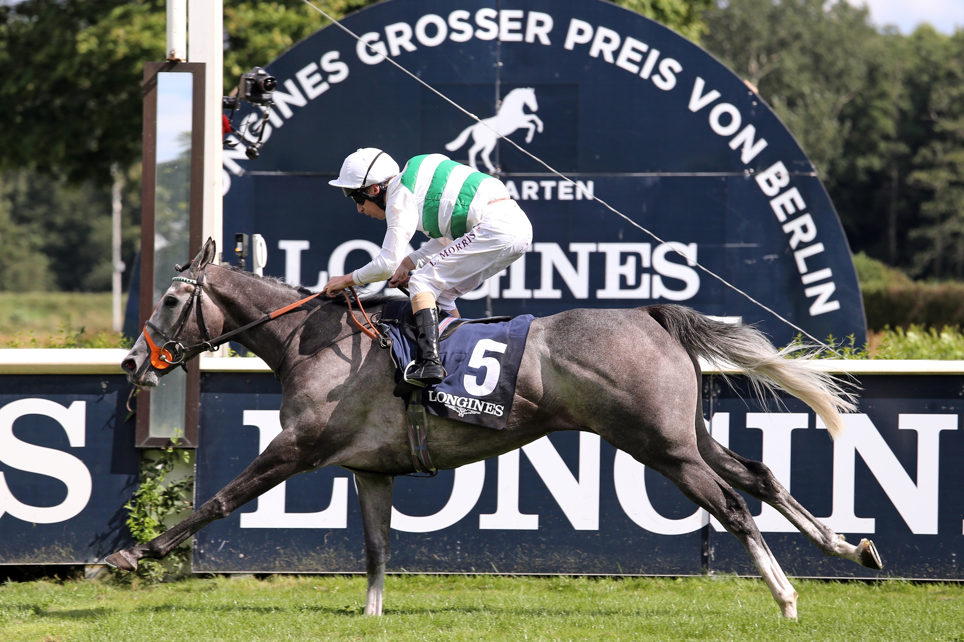 Everything Goes to Plan in Berlin for Alpinista BloodHorse