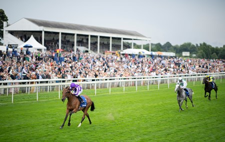 Snowfall Jpn Horse Profile Bloodhorse