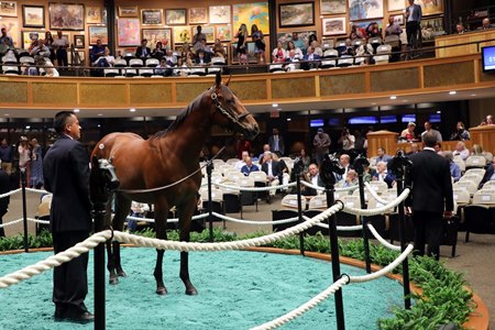 The Into Mischief colt consigned as Hip 168 in the ring at The Saratoga Sale