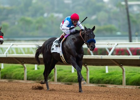 Medina Spirit wins the Shared Belief Stakes at Del Mar