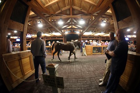 Fasig-Tipton New York Bred Yearlings Sale